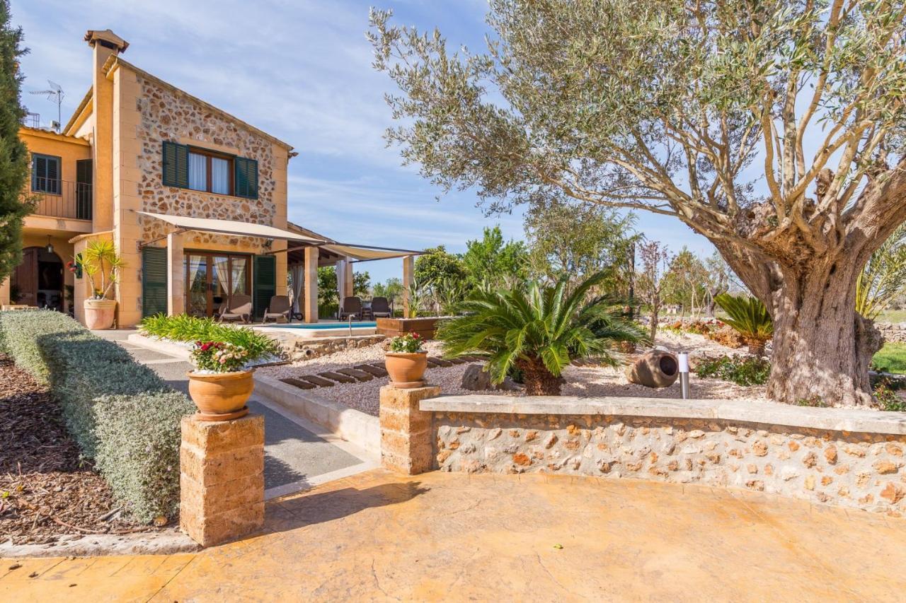 Alfabia Hébergement de vacances Inca (Mallorca)